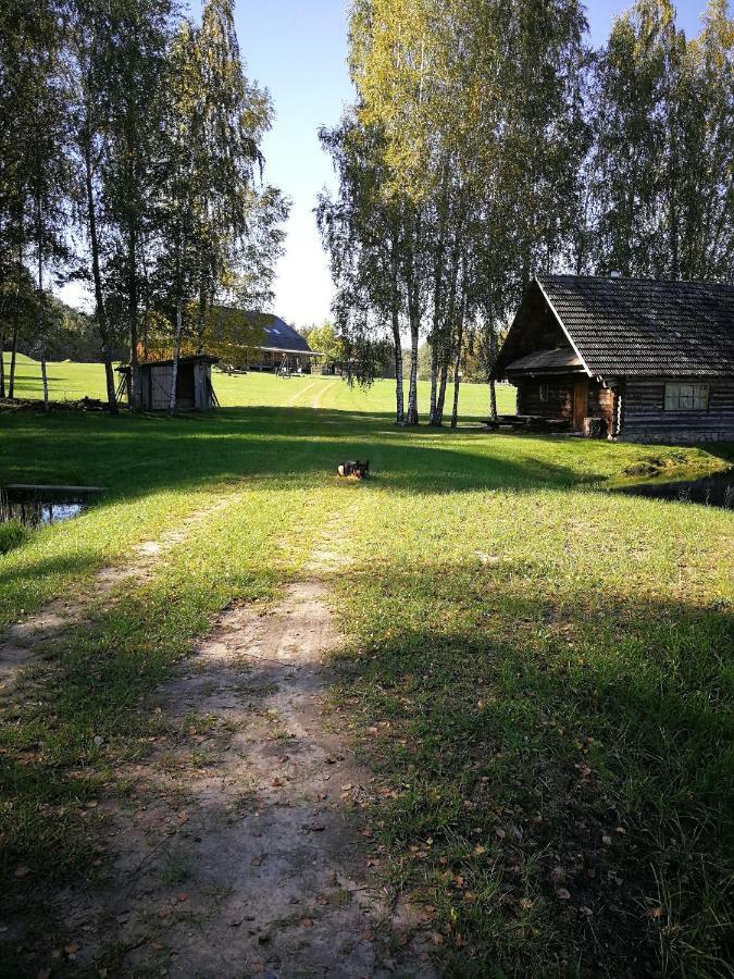 Sodyba Vieversyne Duokiskis Extérieur photo