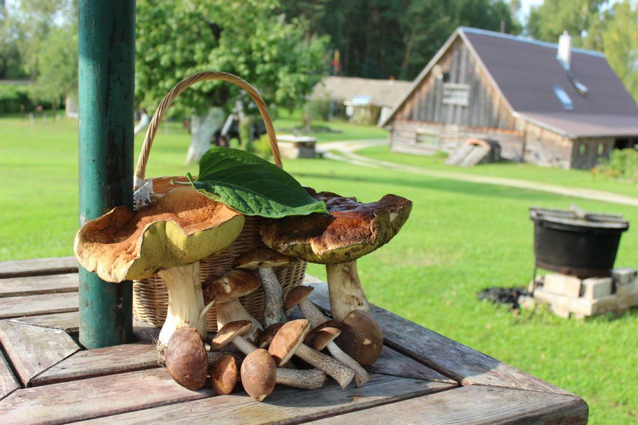 Sodyba Vieversyne Duokiskis Extérieur photo