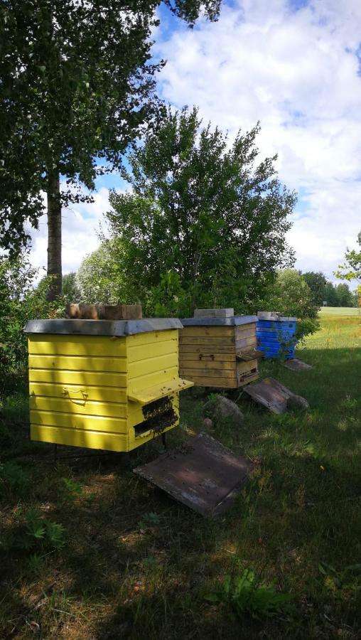 Sodyba Vieversyne Duokiskis Extérieur photo