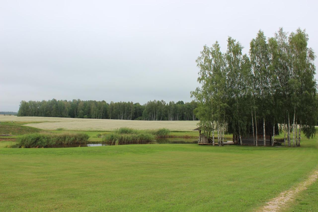 Sodyba Vieversyne Duokiskis Extérieur photo