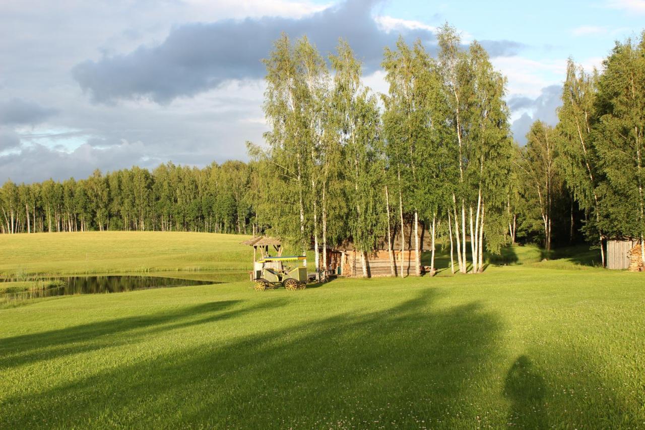 Sodyba Vieversyne Duokiskis Extérieur photo
